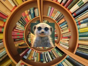 thehappymeerkat in books